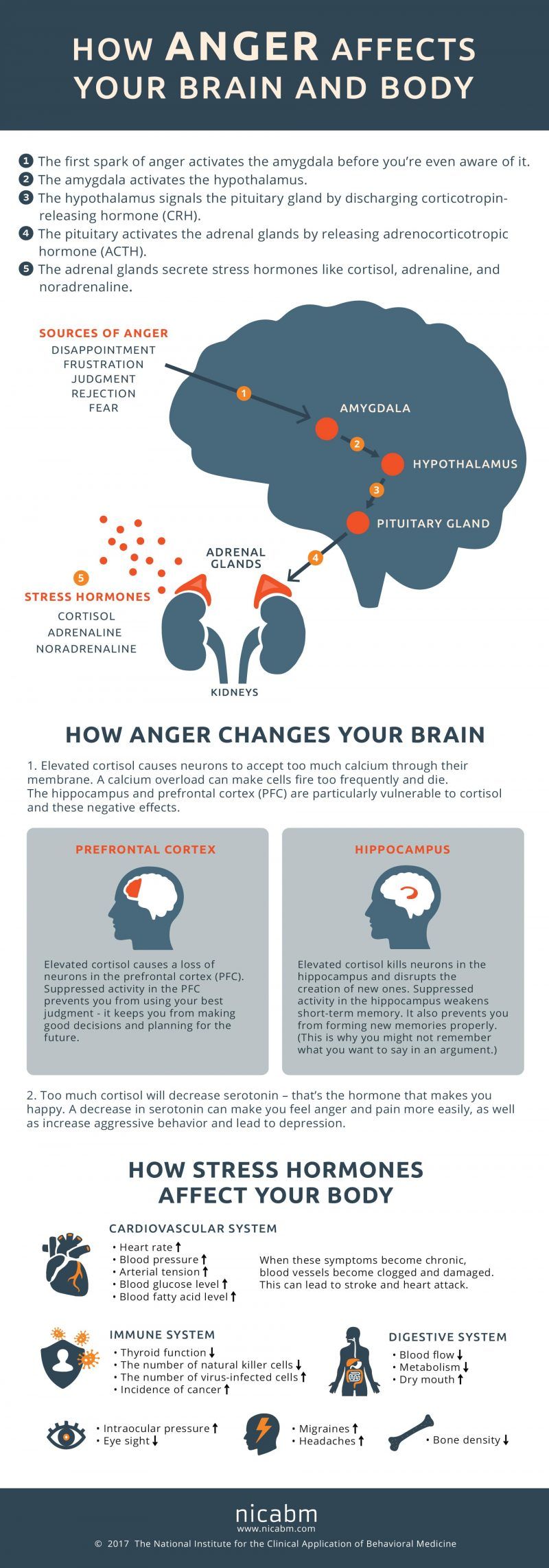 How Anger Affects the mind and Entire body